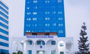 National Investment Bank to Support 48 Businesses Nationwide
