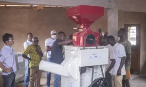 UNIDO Initiative Transforms Rice Processing in Ghana